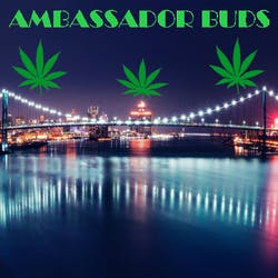 Ambassador Buds