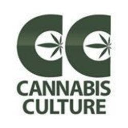 Cannabis Culture - E Hastings