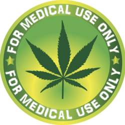 Mobile Marijuana Doctor West Palm Beach