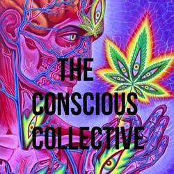 The Conscious Collective