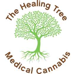 The Healing Tree - Broadway