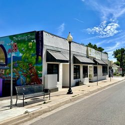 The Giving Tree of Denver