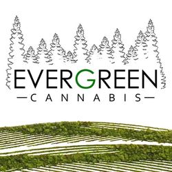 Evergreen Cannabis