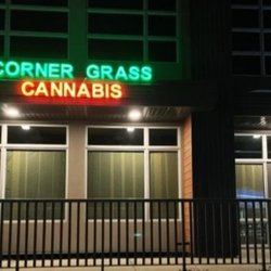 Corner Grass Cannabis