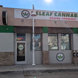 Releaf Cannabis Co