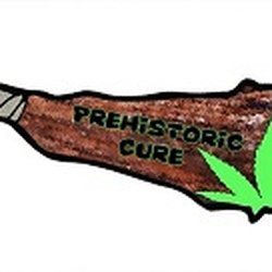 Prehistoric Cure