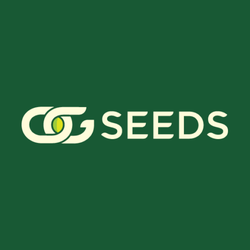 OG Seeds