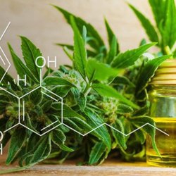 Peculiar Health CBD