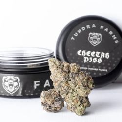 Cold City Cannabis