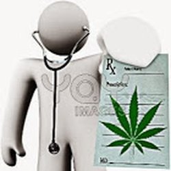 Santa Ana Doctor Medical Marijuana