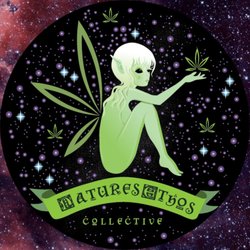 Natures Ethos Collective