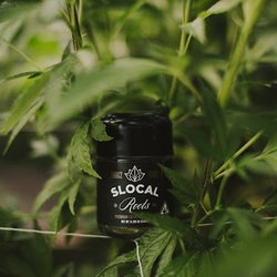 Slocal Roots Dispensary