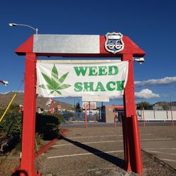 Weed Shack