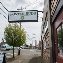 Foster Buds - SE Foster