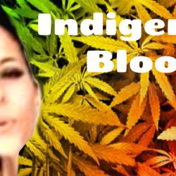 Indigenous Bloom