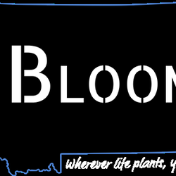 Bloom Marijuana Dispensary Great Falls