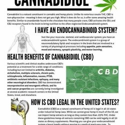 MJMD Cannabis Clinic