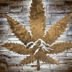 Rocky Mountain Cannabis