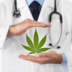 Craft Medical Marijuana Clinic