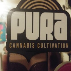 Pura Cannabis Collective