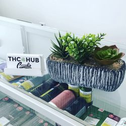 THC HUB Cannabis