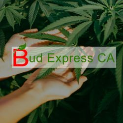 Bud Express