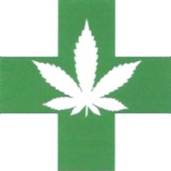 Marijuana Card Clinic