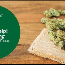 Express Medical Marijuana Clinic