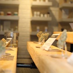 Kinfolk Dispensary