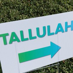 Tallulah CBD