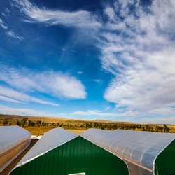 Sacred Sun Farms