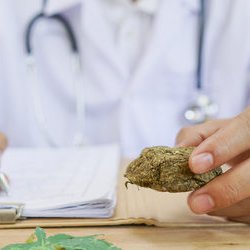 Medical Cannabis Community Outreach