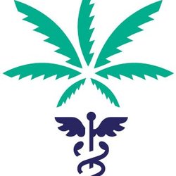 The Medical Marijuana Doctor