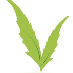 Verde Medical