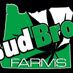 Bud Bros