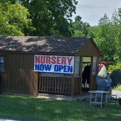 The Cannabis Bakery