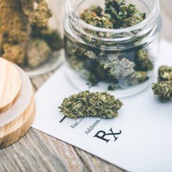 MJ Cannabis Stocks & Sales