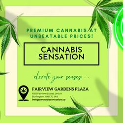 Cannabis Sensation