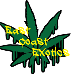 East Coast Exotics