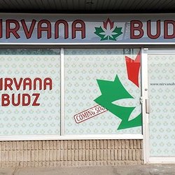 Nirvana Budz