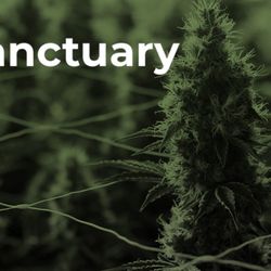 Sanctuary Medicinals