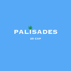 Palisades 25 Cap