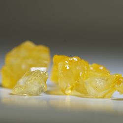 Portland Extracts