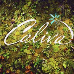 Caliva