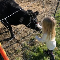 Dream Acres Family Farm