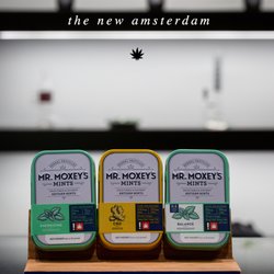 The New Amsterdam