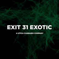 Exit 31 Exotic