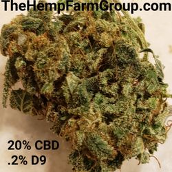 The Hemp Farm Group