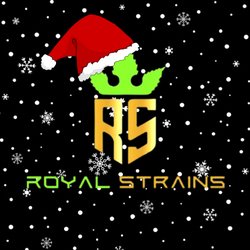 Royal Strains Delivery