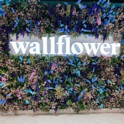 Wallflower Cannabis House Weed Dispensary Las Vegas